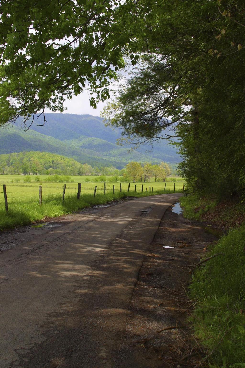 Free and Low Cost Things to Do in the&nbsp;Smokies